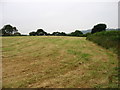 Field near Howbank