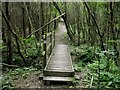 Footbridge in Sandpit Wood (2)