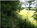 Footpath beside Sandpit Wood