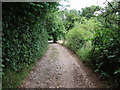 Hermitage Lane, near Detling