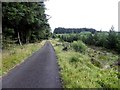 Forest road, Davagh Forest