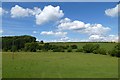 Towards Castle Hill Wood