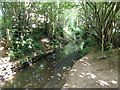 Gatwick Stream, Maidenbower, Crawley