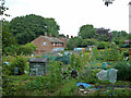 Allotments, Pound Hill, Crawley