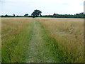 TQ1965 : Path across Tolworth Court Farm Fields by Marathon