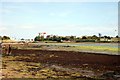 Forton Lake looking East, 2 August 2009