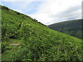 Footpath near Trwyn-tal