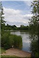 Fishing Lake in Notley Country park