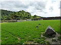 The Walled Garden at Parc