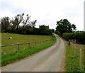 Main Street at Northfield Farm