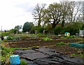 Whissendine Allotments