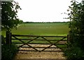 Into the fields south of Glebe Road