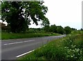 Newton Lane towards Newton Harcourt