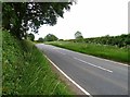 Newton Lane towards Newton Harcourt