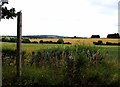 TQ6591 : Footpath south from Botney Hill Road by Andrew Tatlow