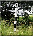 TQ6591 : Signpost at Botney Hill Road/Hatches Farm Road junction by Andrew Tatlow