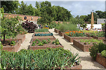TQ8512 : Raised beds in the walled garden by Oast House Archive