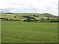 Fields south of Bothel