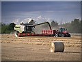 TM1243 : Harvest Time at Poplar Farm by David Dixon