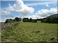 Country west of Pasture Lane