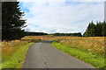 Southern Upland Way near Knowe