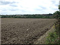 Farmland, Washingborough