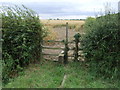 Footpath near Moor Farm