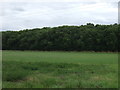 Farmland towards Twenty Acre Plantation