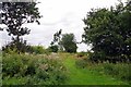 Bridleway to Bustard Green