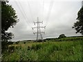 Pylons from the Deerness Valley Walk