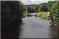 Umberleigh : The River Taw