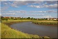 Bend in Fenn Creek