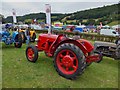 SH8070 : 1950 David Brown Cropmaster Tractor by Richard Hoare