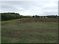 Farmland near Kirkby on Bain