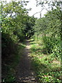 Footpath into Wilstead