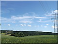 Pylons to Brede High Wood