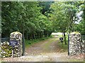 Driveway to Millden Lodge