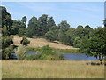 TQ7924 : Lake near Ewhurst House by David Anstiss