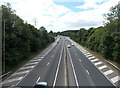 Distinctive patterning at the edges of Eastern Avenue near Llanedeyrn, Cardiff