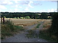 Farm Track near East Farleigh