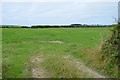 Grass field off B3254 road