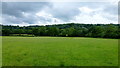 Pasture below the Cotswold Scarp