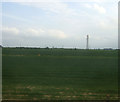 Farmland, Great Hale Fen