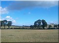 Farmland north of the A25 (Ballydugan Road)