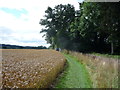 Field edge footpath near Ludford