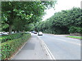 Witan Way - viewed from Langdale Gate