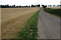 Bridleway and track up to Hill Farm