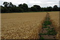 Path to the A422 behind the trees