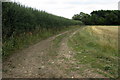 Track towards the spinney