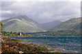 The shore of Loch Fyne